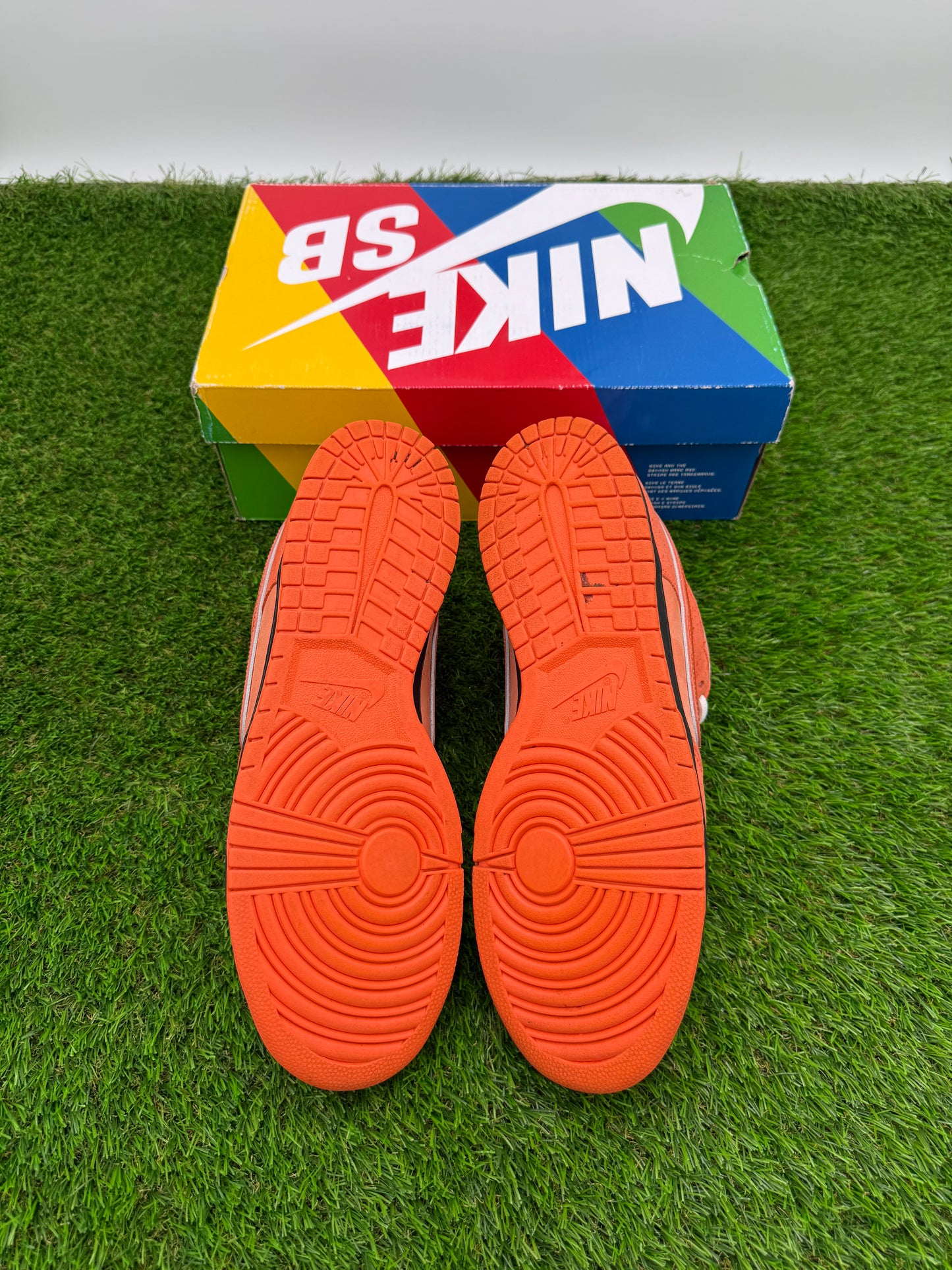 Orange Lobster SB’s