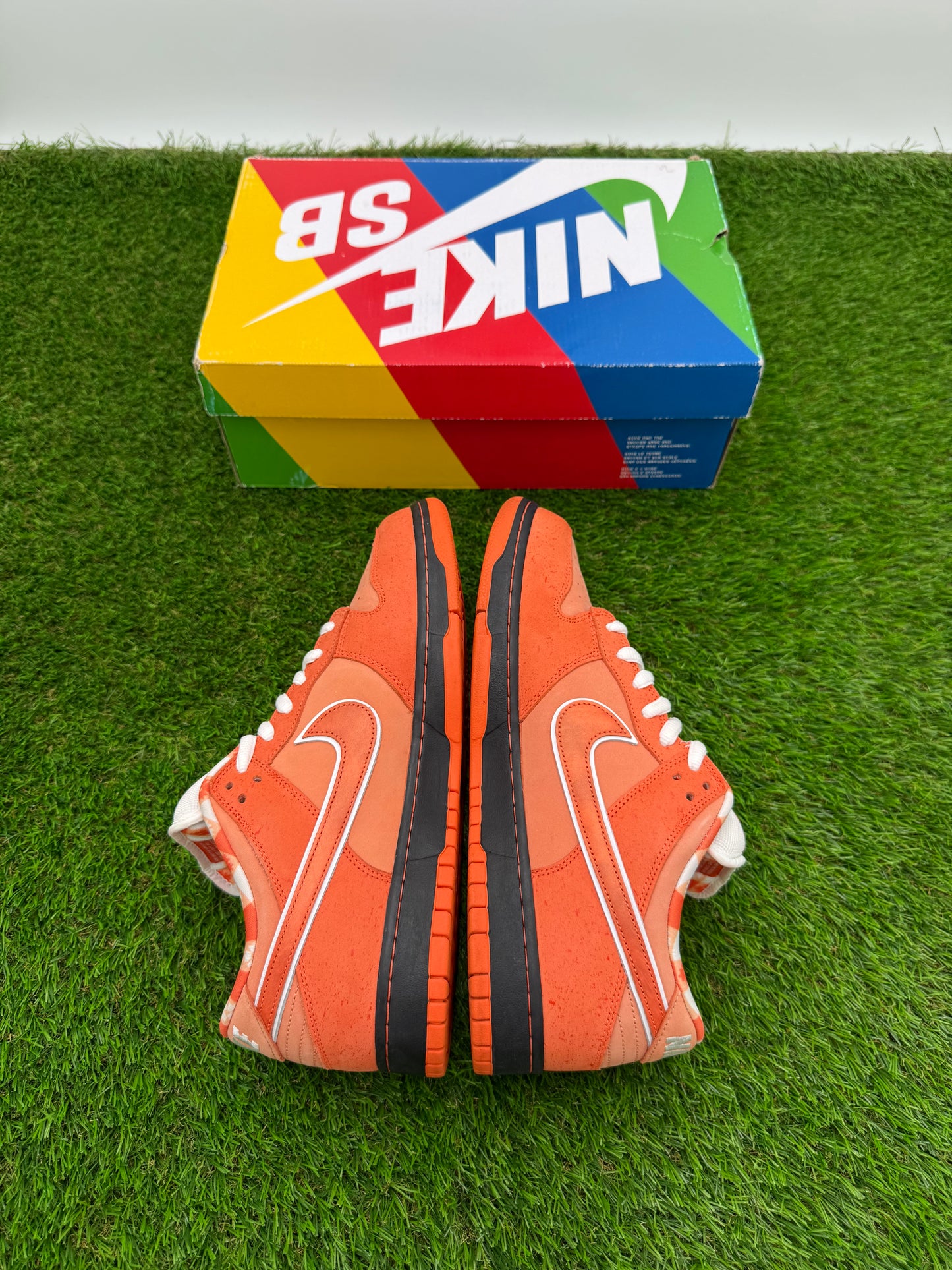 Orange Lobster SB’s